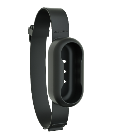 Dog Collar Camera — HD Pet's-Eye View