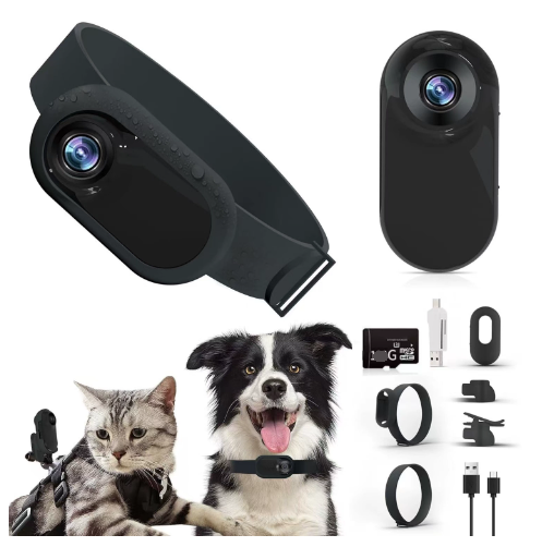 Dog Collar Camera — HD Pet's-Eye View