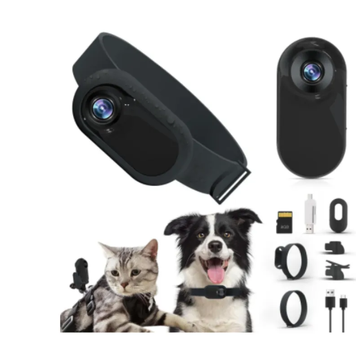 Dog Collar Camera — HD Pet's-Eye View