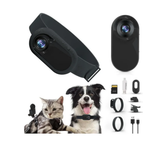 Dog Collar Camera — HD Pet's-Eye View