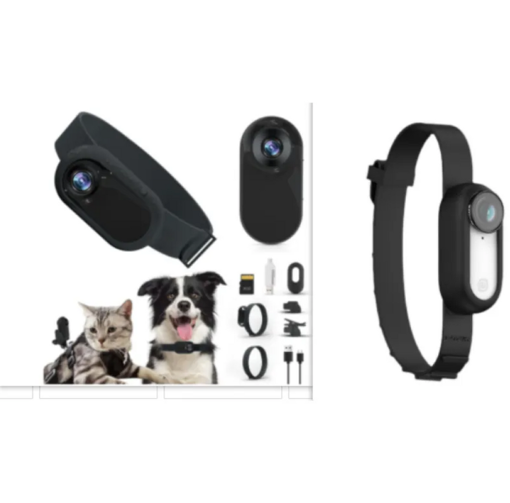 Dog Collar Camera — HD Pet's-Eye View
