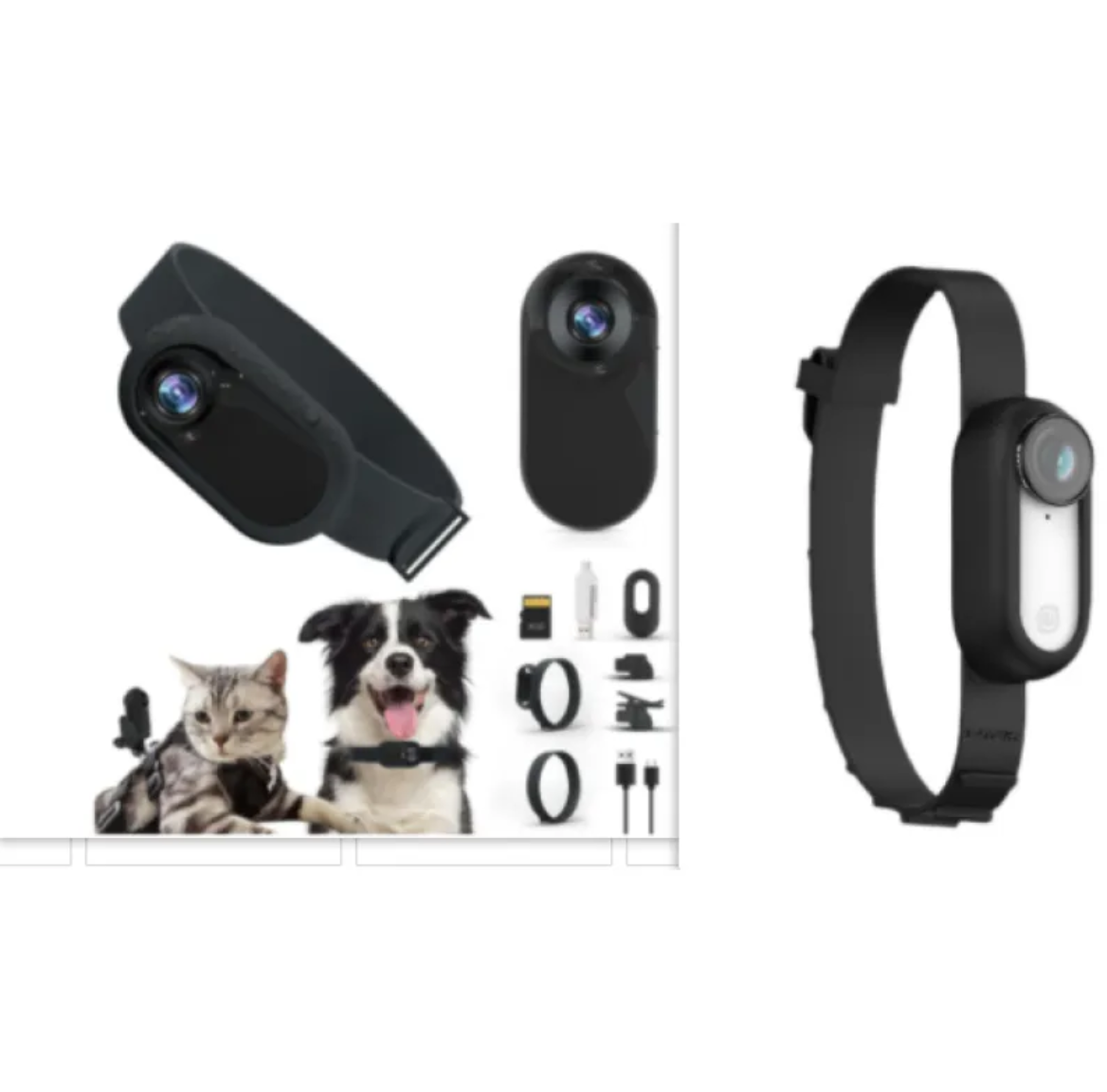 Dog Collar Camera — HD Pet's-Eye View