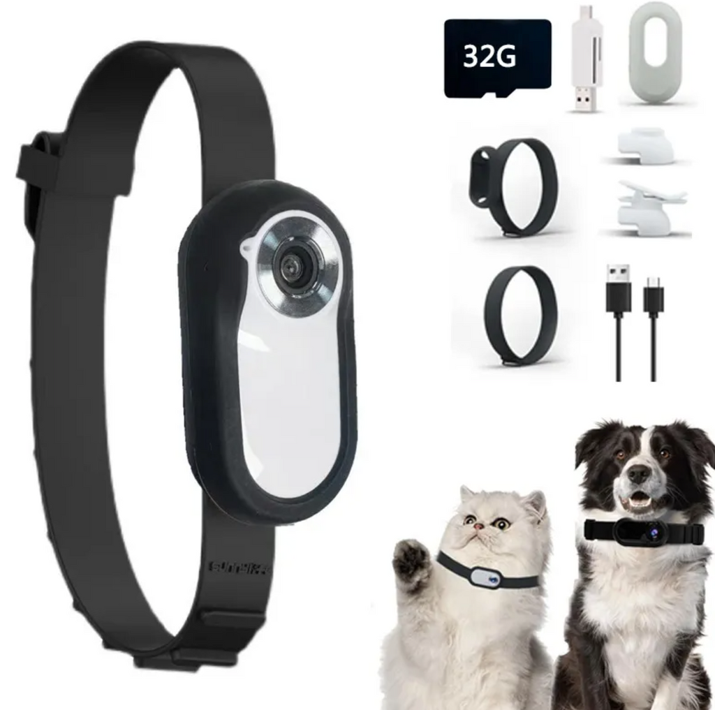 Dog Collar Camera — HD Pet's-Eye View