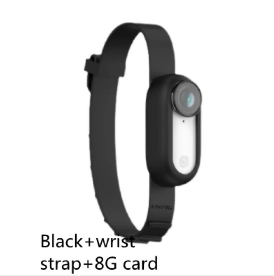 Dog Collar Camera — HD Pet's-Eye View